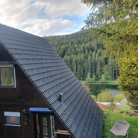 Haus Adler - Komplettes Ferienhaus Am Badesee Эрцгрубе Экстерьер фото