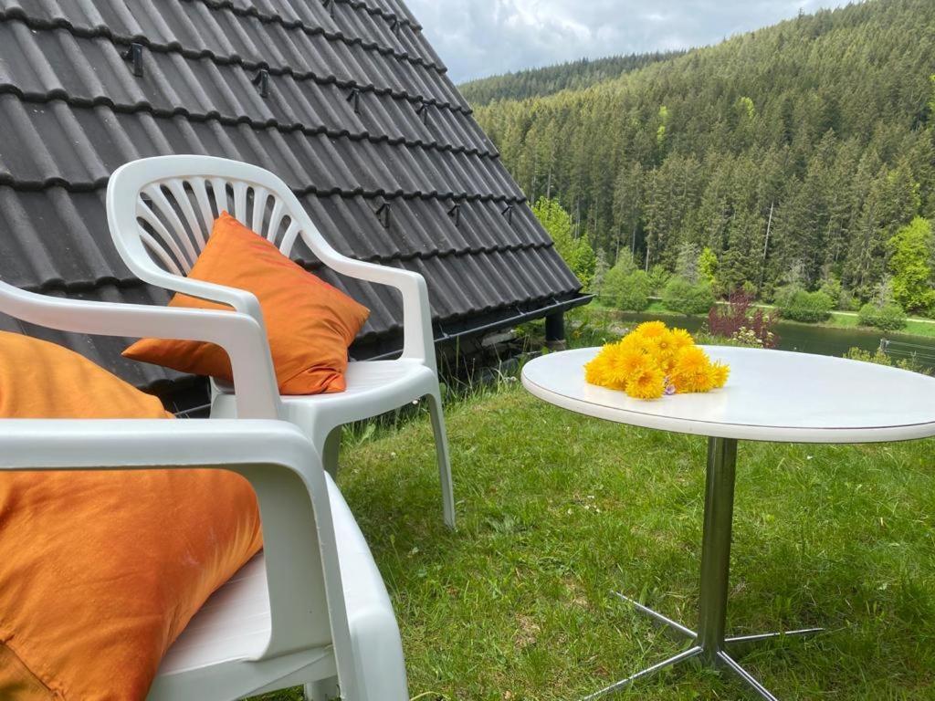 Haus Adler - Komplettes Ferienhaus Am Badesee Эрцгрубе Экстерьер фото
