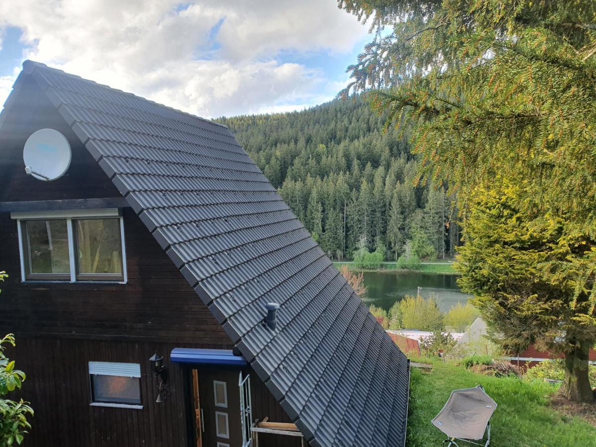 Haus Adler - Komplettes Ferienhaus Am Badesee Эрцгрубе Экстерьер фото
