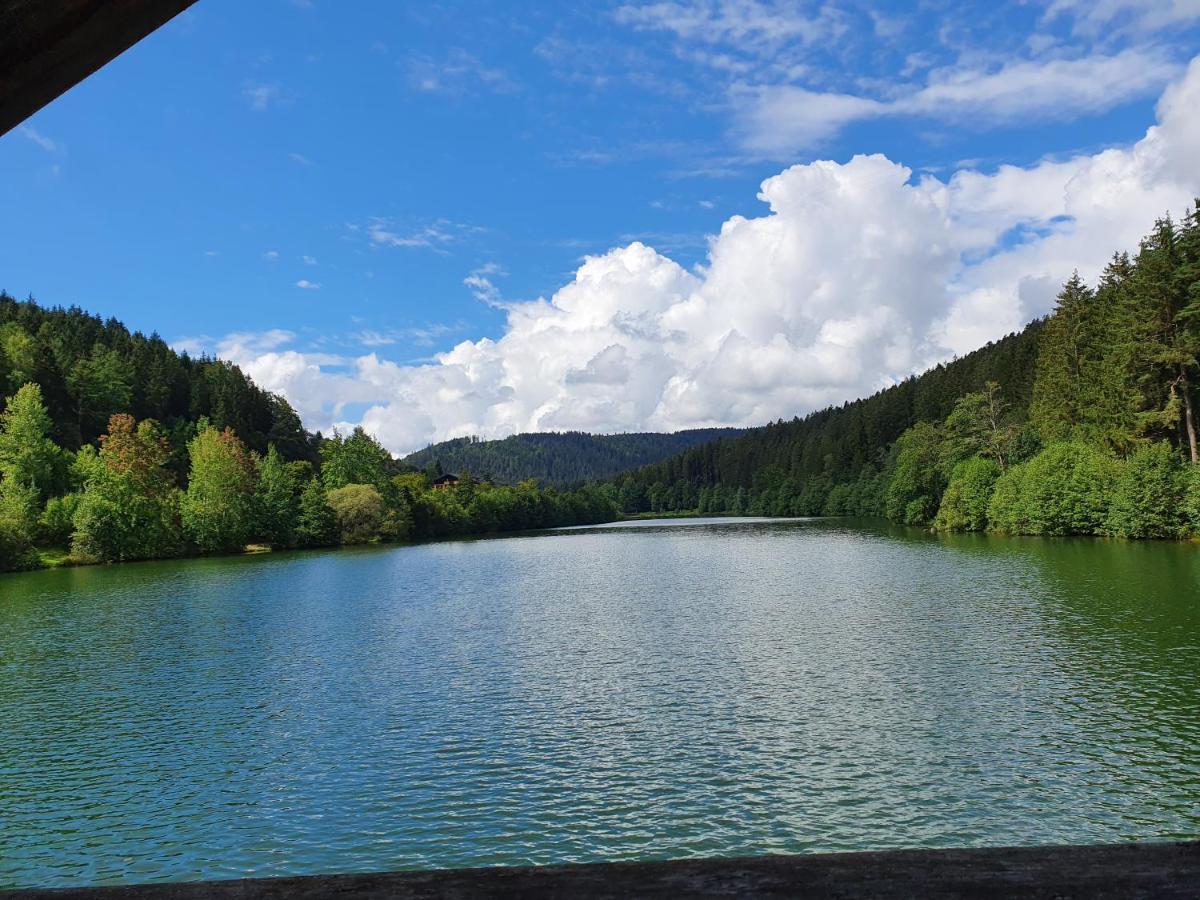 Haus Adler - Komplettes Ferienhaus Am Badesee Эрцгрубе Экстерьер фото